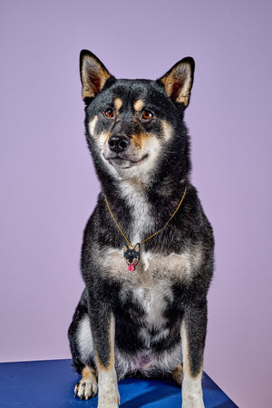 Custom Pet Portrait Necklace